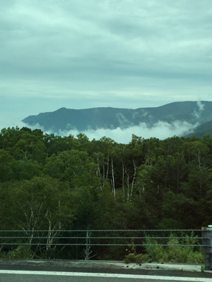 d0057701_06043746.jpg