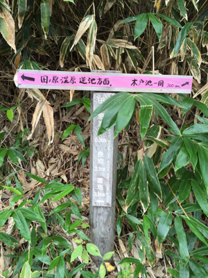 d0057701_06384167.jpg