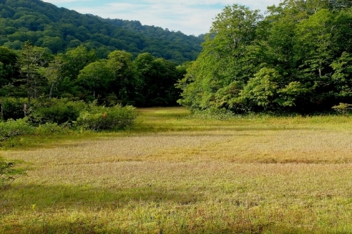 e0304001_22175363.jpg
