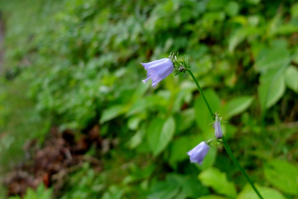 e0304001_22180920.jpg