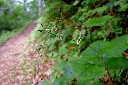 e0304001_22264219.jpg