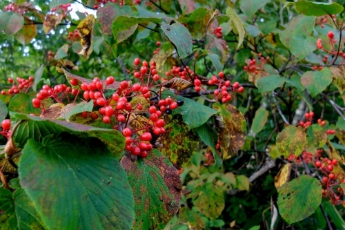 e0304001_22265525.jpg