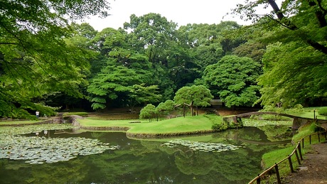 a0224502_13191710.jpg