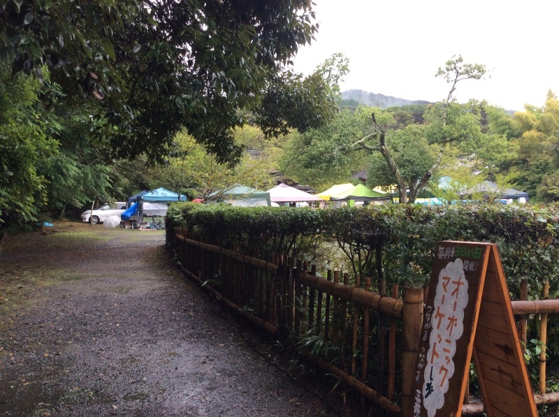 b0220002_20262168.jpeg