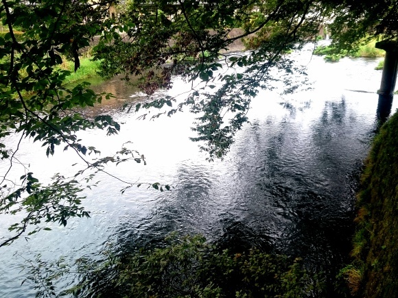 f0266202_19452308.jpg