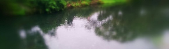 f0266202_19462997.jpg