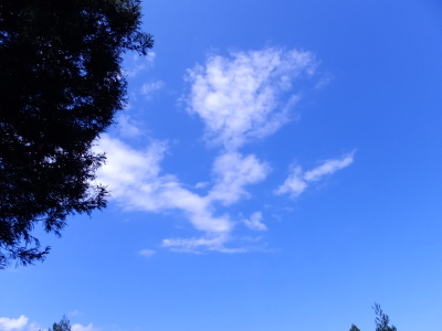 a0160407_17184560.jpg