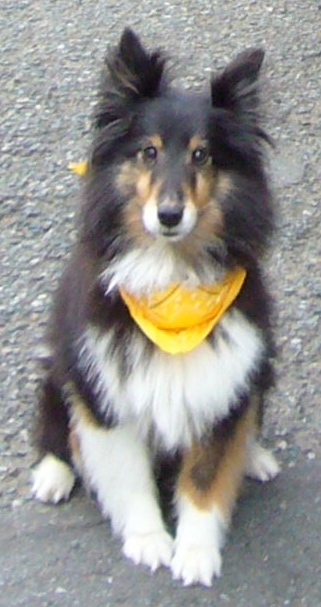c0243807_16320011.jpg