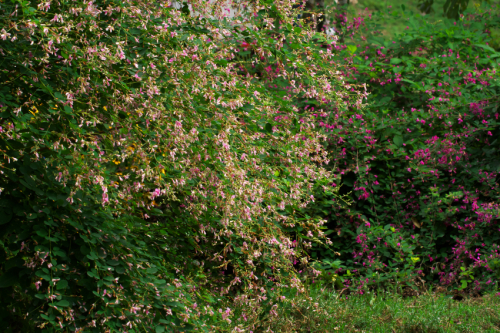 a0263109_15021043.jpg