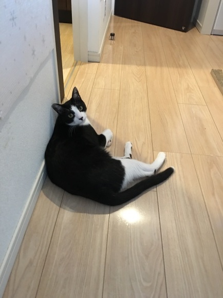 c0109109_21015687.jpeg