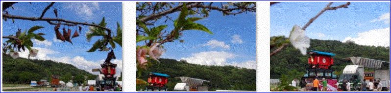 f0231709_1044765.gif