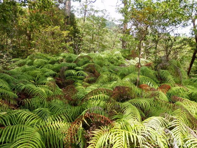 f0219710_08100176.jpg
