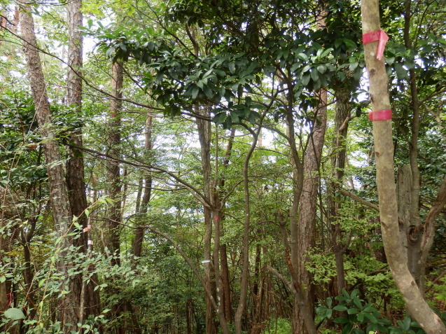 f0219710_08143498.jpg