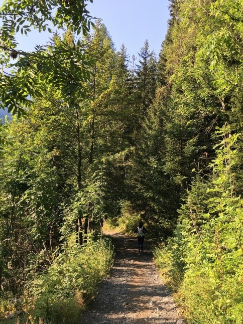 c0337813_17565294.jpg