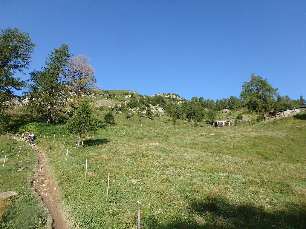 c0337813_17572977.jpg