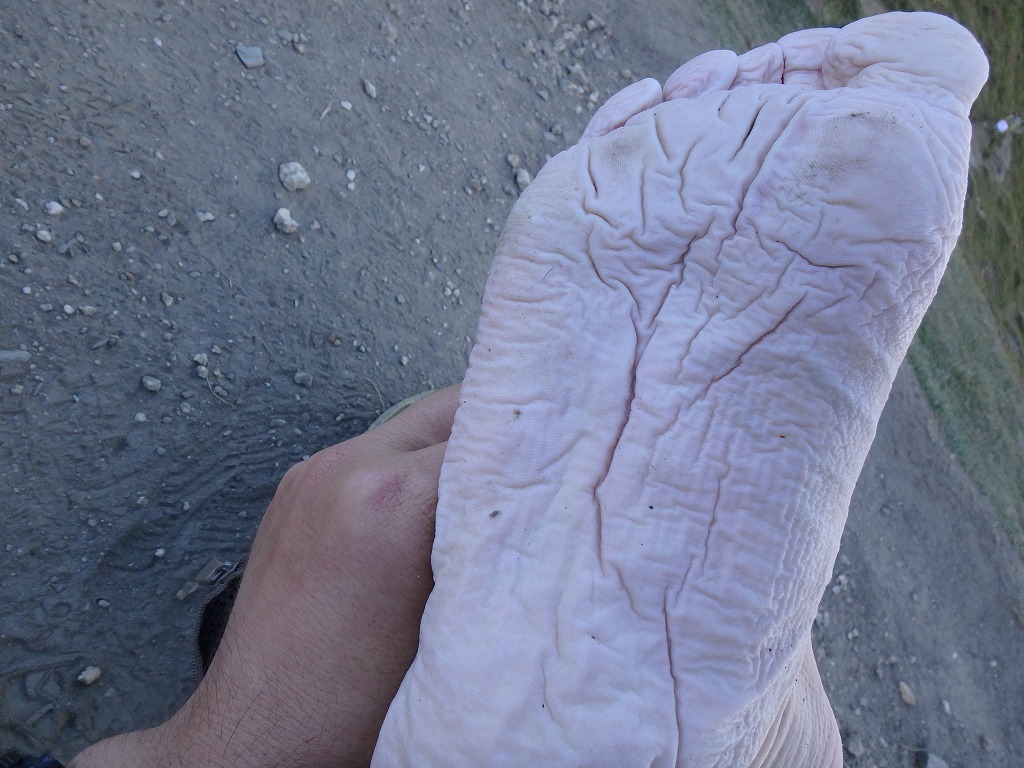 c0337813_17575343.jpg