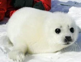 早渕川の源流に行ってみよう : 歴史と素適なおつきあい