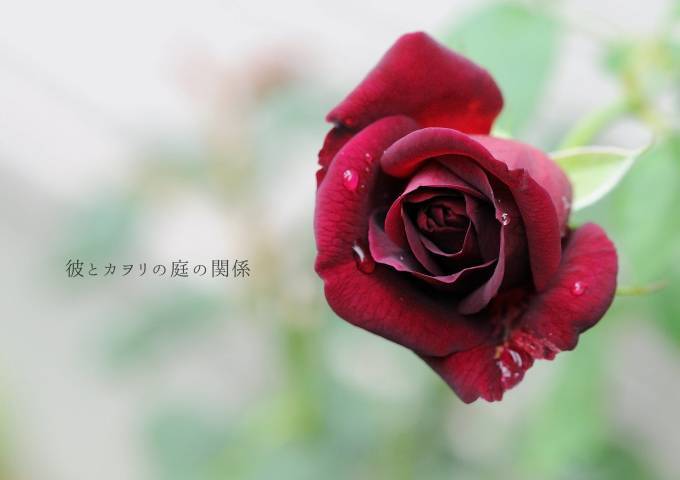 c0365716_16190383.jpg