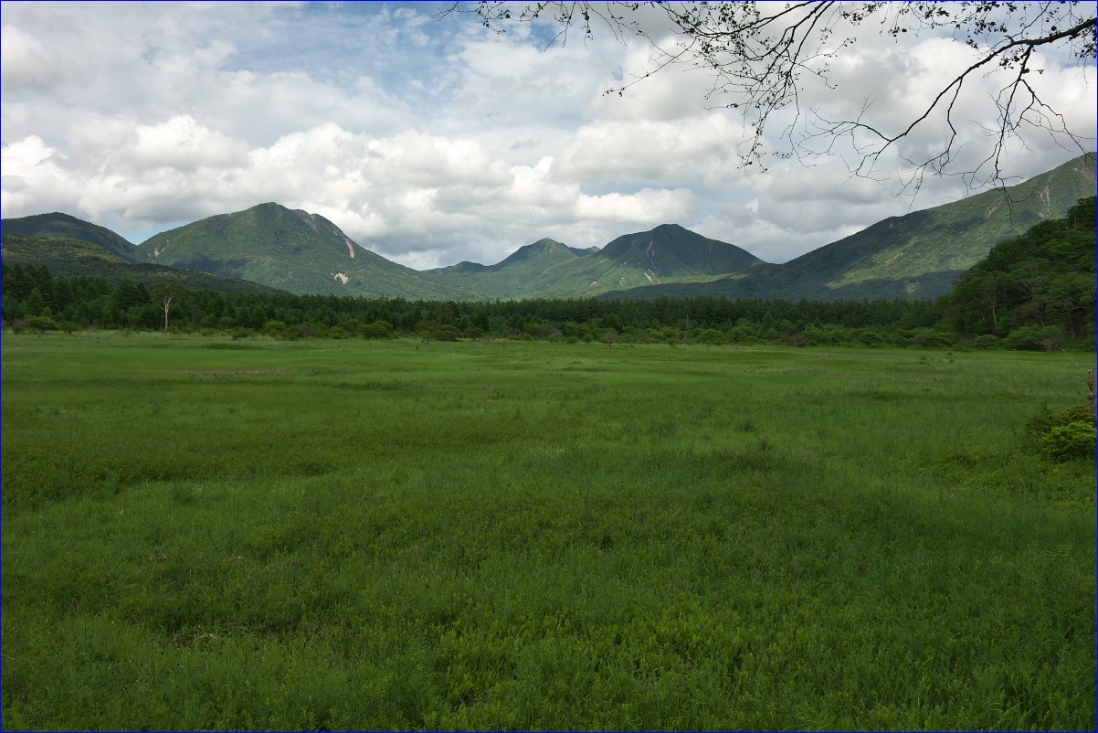 d0137627_013739.jpg