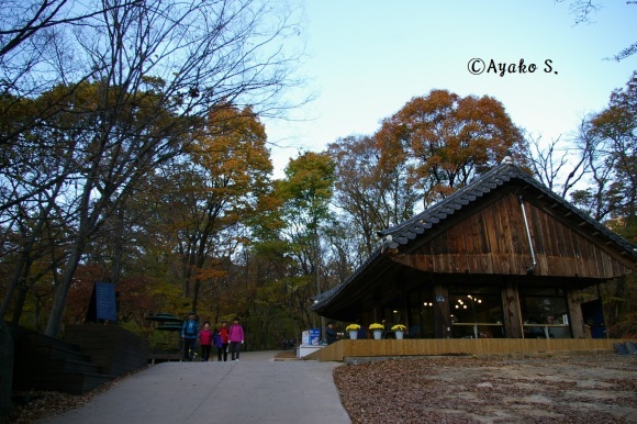 ひとり旅　秋の韓国7泊8日　その18～海印寺（ヘインサ　해인사）へ！停留所から本殿まで編_f0283431_07343947.jpg