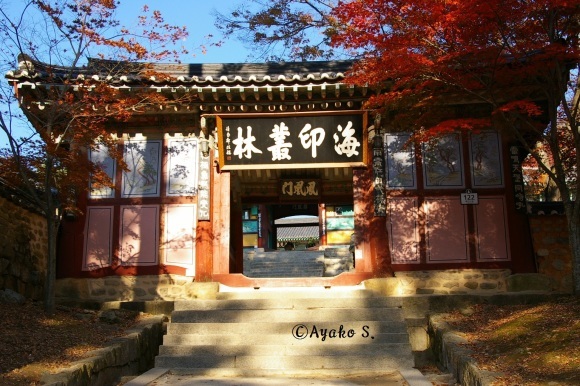 f0283431_07344080.jpg