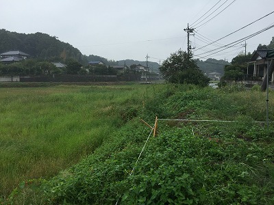 a0191732_17380116.jpg