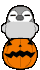 a0157935_21571643.gif