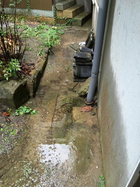 案内中_f0115152_19531792.jpg