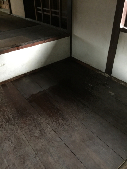 案内中_f0115152_19532069.jpg