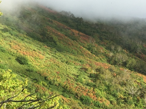 赤岳の一番紅葉～大雪山_e0326953_06381167.jpg