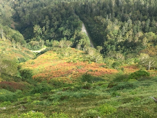 赤岳の一番紅葉～大雪山_e0326953_07032925.jpg