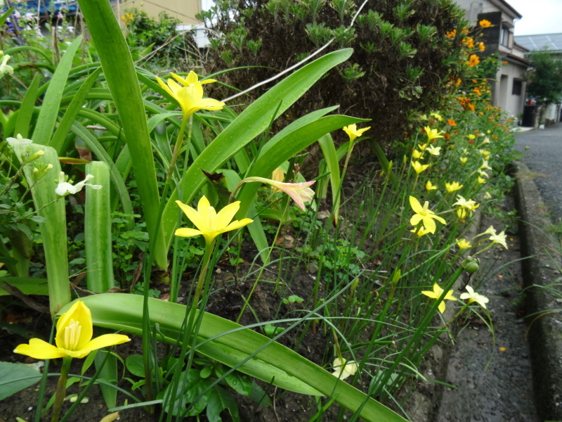 c0108460_17503981.jpg