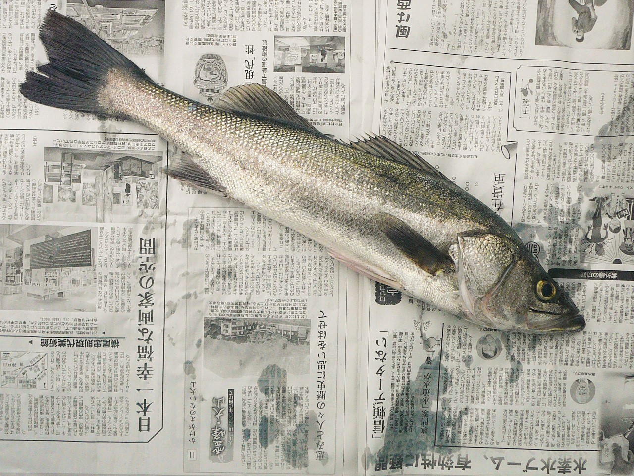 f0371674_12382113.jpg