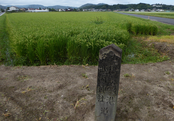 d0118876_11423531.jpg