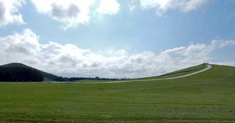 f0083977_1639064.jpg