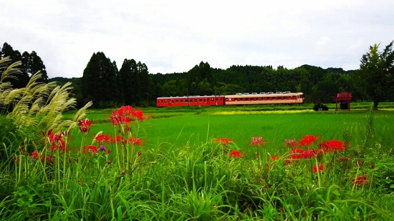 いすみ鉄道_d0341483_21303317.jpg