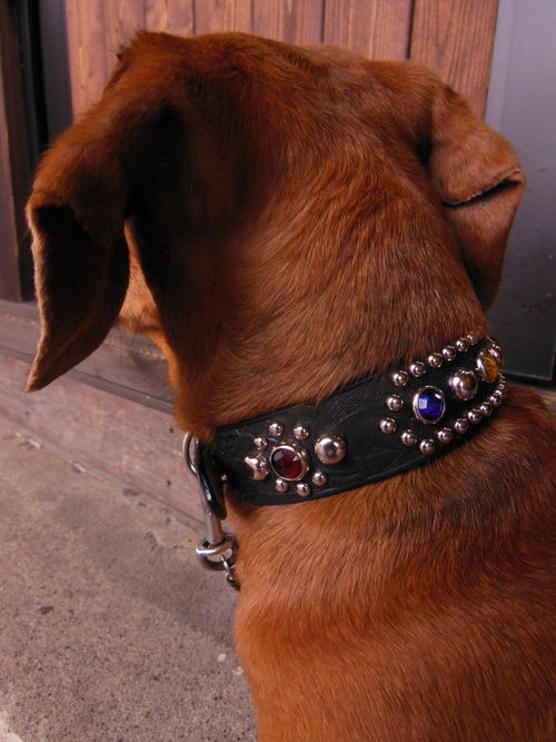 RAWHIDE New Product Studded and Jeweled dog collar スタッズ犬用首輪_c0187684_112237.jpg