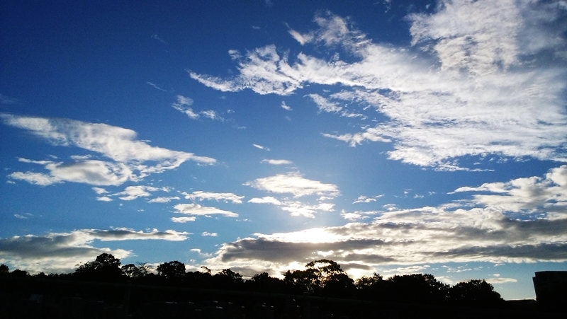 e0340485_19393761.jpg