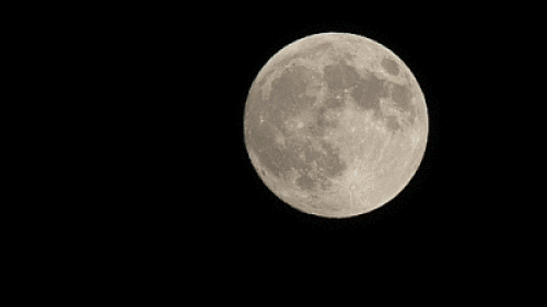 e0340485_19493605.gif