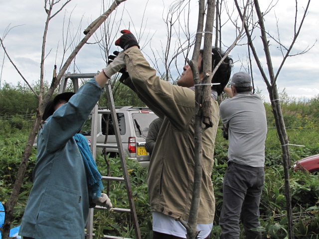 「ヒト科ヒト属ヒト」展／管理小屋作成（１日目）_a0269889_18525287.jpg