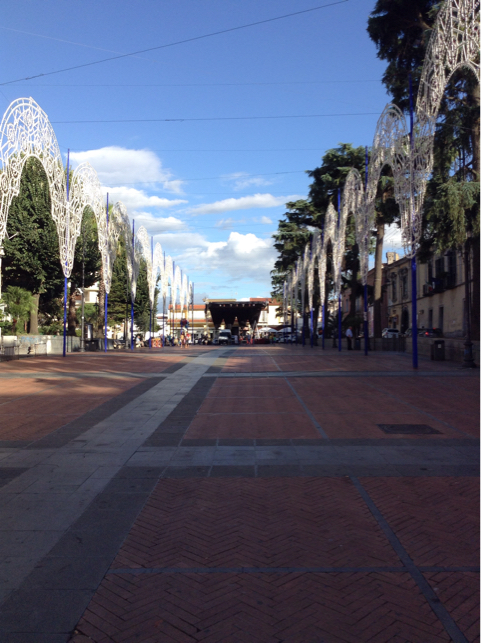 b0015591_16275649.jpg