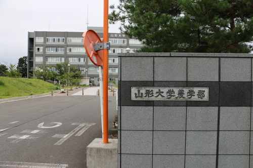 山形大学農学部キャンパスを訪れる_c0075701_916689.jpg