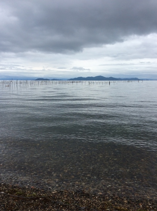 b0220002_20131119.jpeg