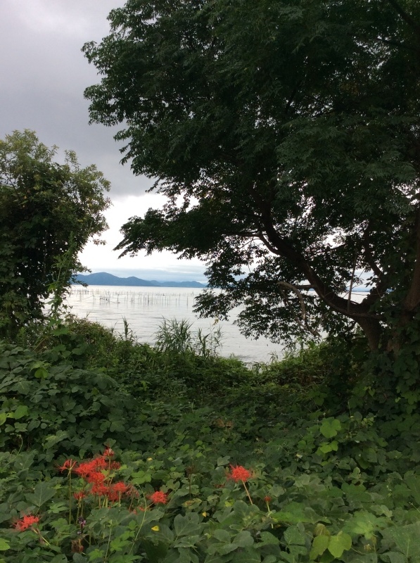 b0220002_20132961.jpeg