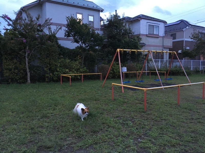 f0034602_10593698.jpeg
