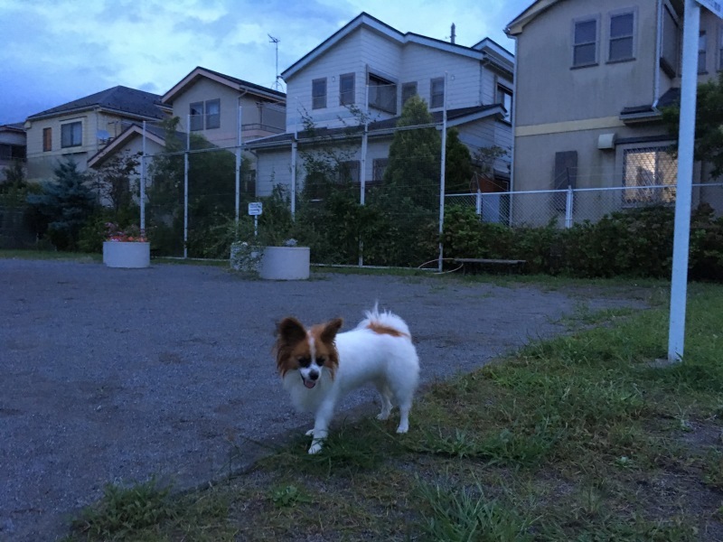 f0034602_10595767.jpeg