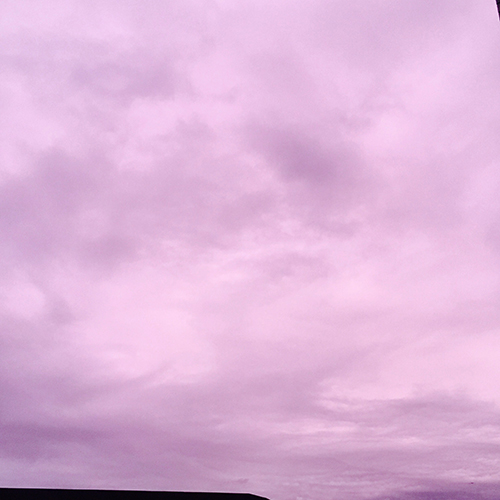 ラベンダー色の空 Noi からふる