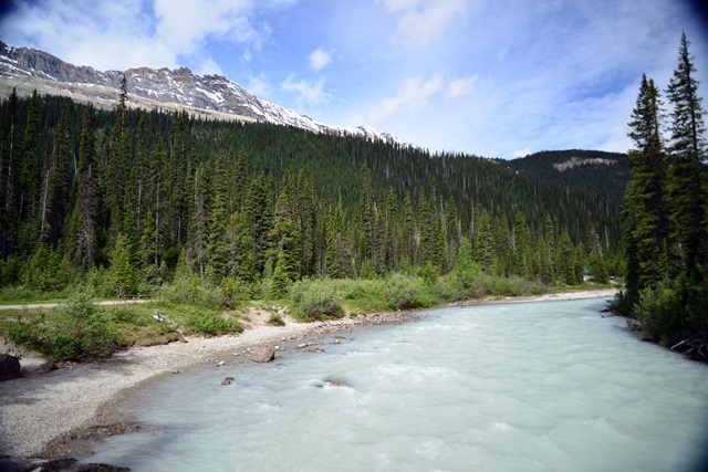 f0373905_13281738.jpg