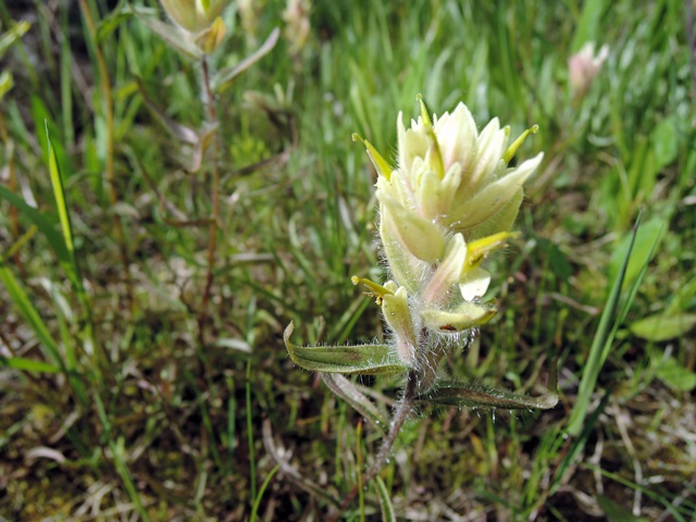 f0373905_13285761.jpg