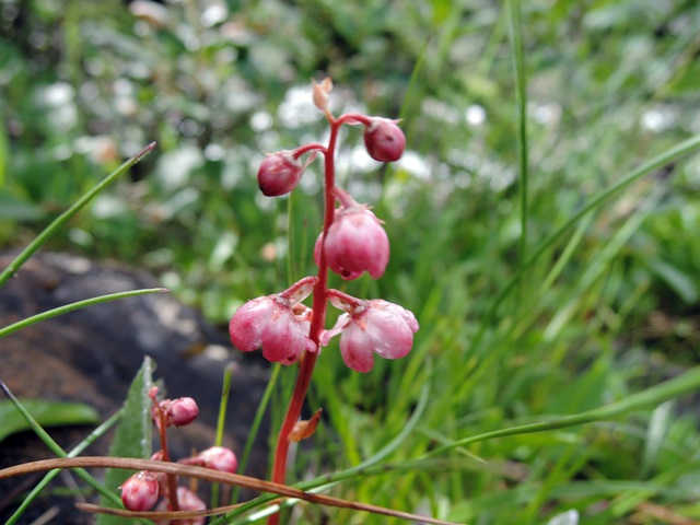 f0373905_13405483.jpg